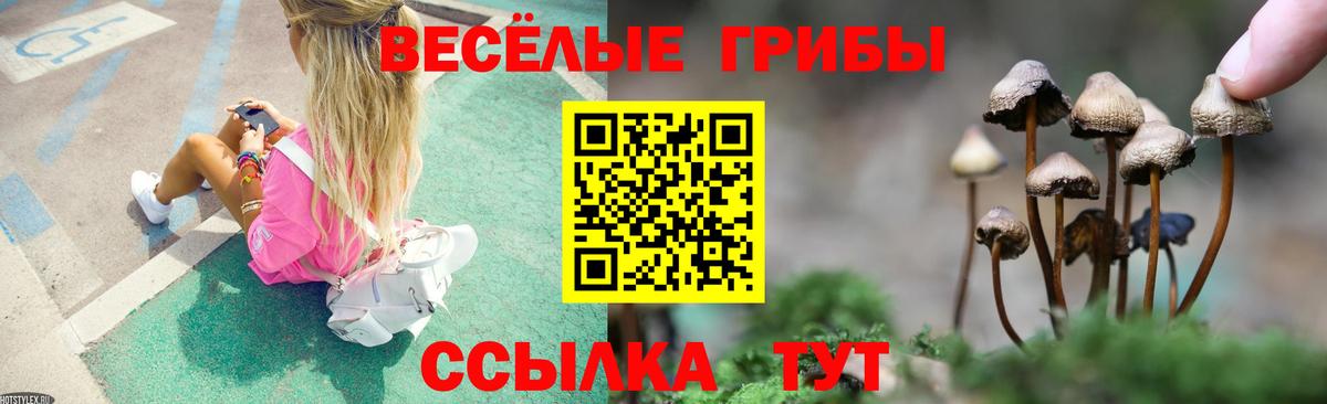 Псилоцибиновые грибы MAGIC MUSHROOMS Острогожск