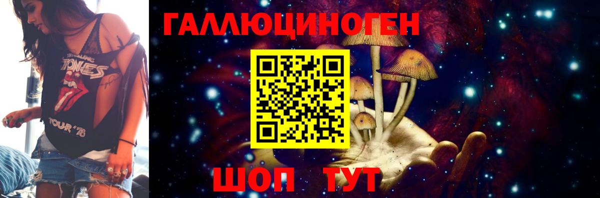 Псилоцибиновые грибы Psilocybine cubensis  Вход с VPN  Острогожск 